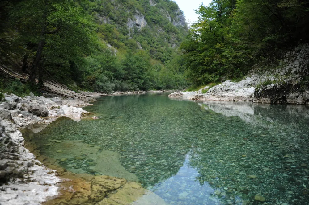 Tara rijeka