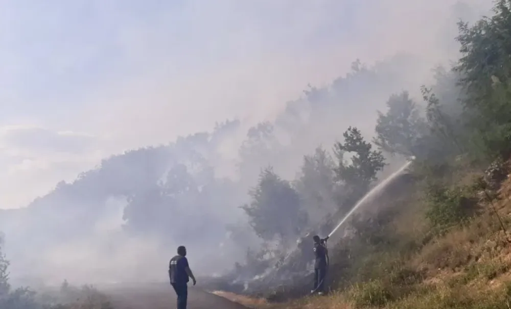 Cetinjski vatrogasci&nbsp;peti dan zaredom&nbsp;vode borbu s požarima&nbsp;