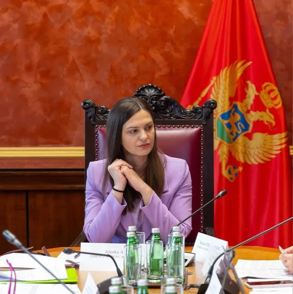 Andrić: Povećanje kvote za žene na 40% mora biti dio izborne reforme