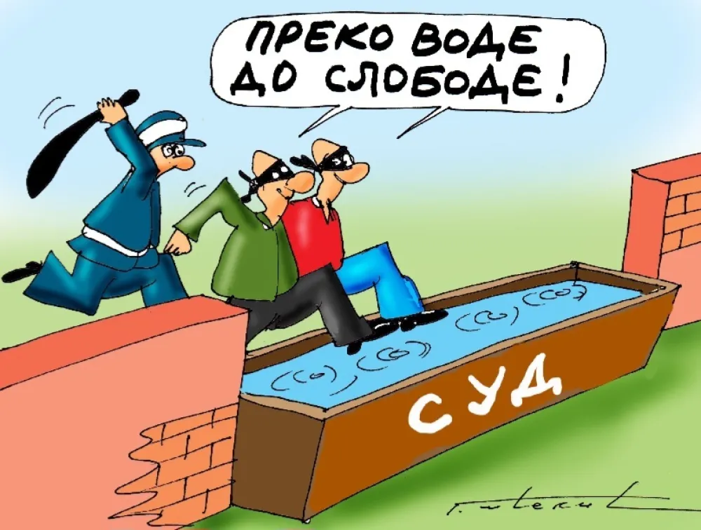 karikatura dana