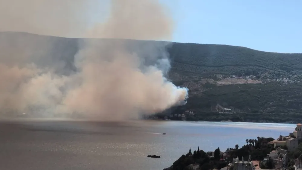 Požar na Njivicama lokalizovan, vatrogasci dežuraju na opožarenom području