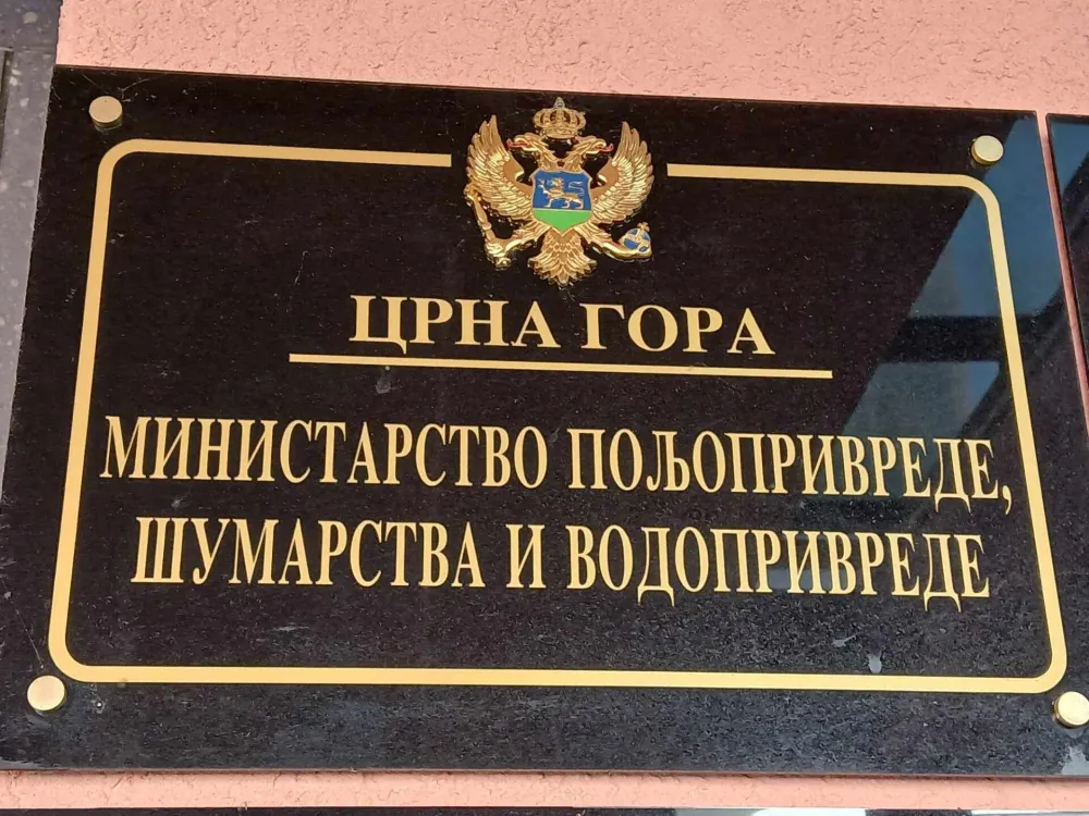 MP&Scaron;V: Netačna i povr&scaron;na tumačenja izvje&scaron;taja o radu ministarstava u okviru Vlade