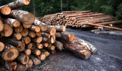 Koncesionari profitiraju, dok država ignori&scaron;e Zakon o &scaron;umama