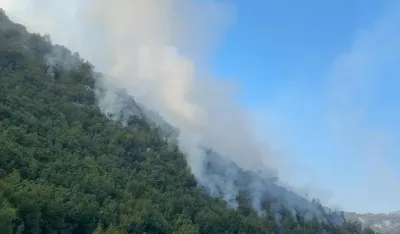 Požar na Lovćenu