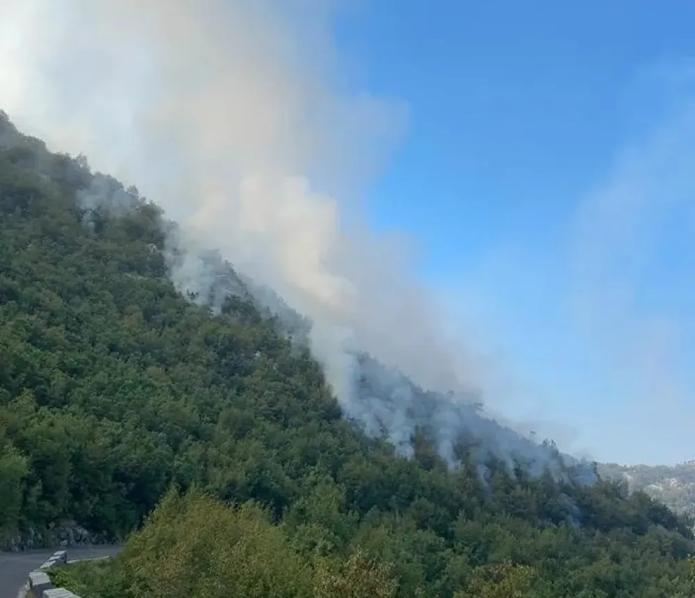 Požar na Lovćenu