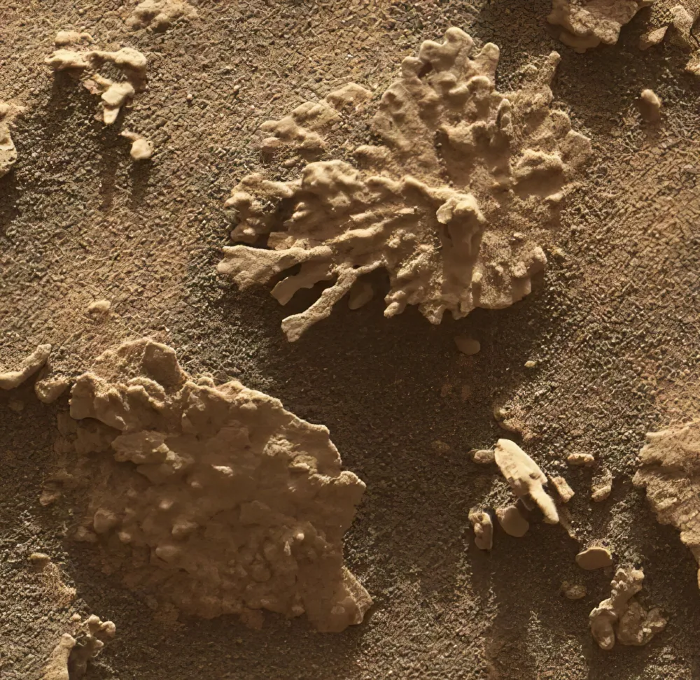 NASA otkrila koralnu formaciju na Marsu staru vi&scaron;e milijardi godina