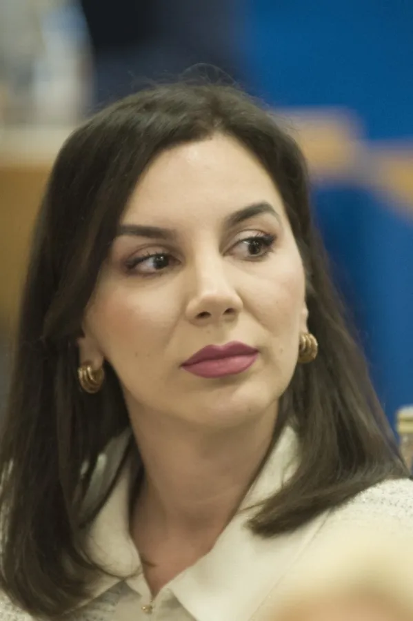 Mićović: DPS daje savjete iz opozicije, a za vrijeme vlasti rasprodali sve kanadere