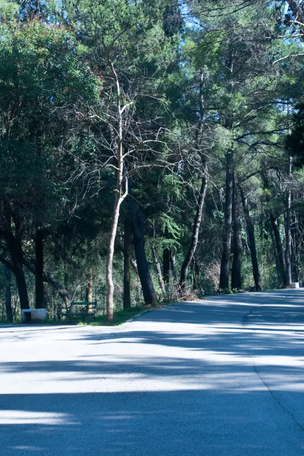 Park &scaron;uma Gorica i brdo Ljubović zatvoreni za posjetioce