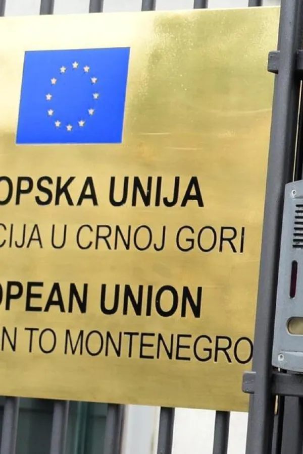 Delegacija EU: Ohrabrujuće je vidjeti evropsku solidarnost u tragičnim danima požara