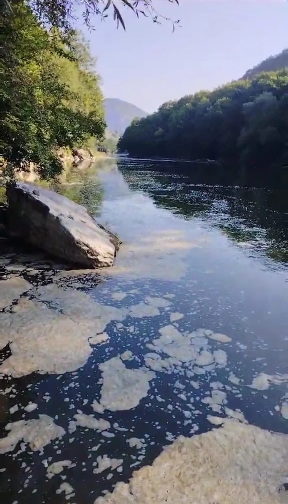 (VIDEO) Umjesto ribe, Limom plivaju hemikalije