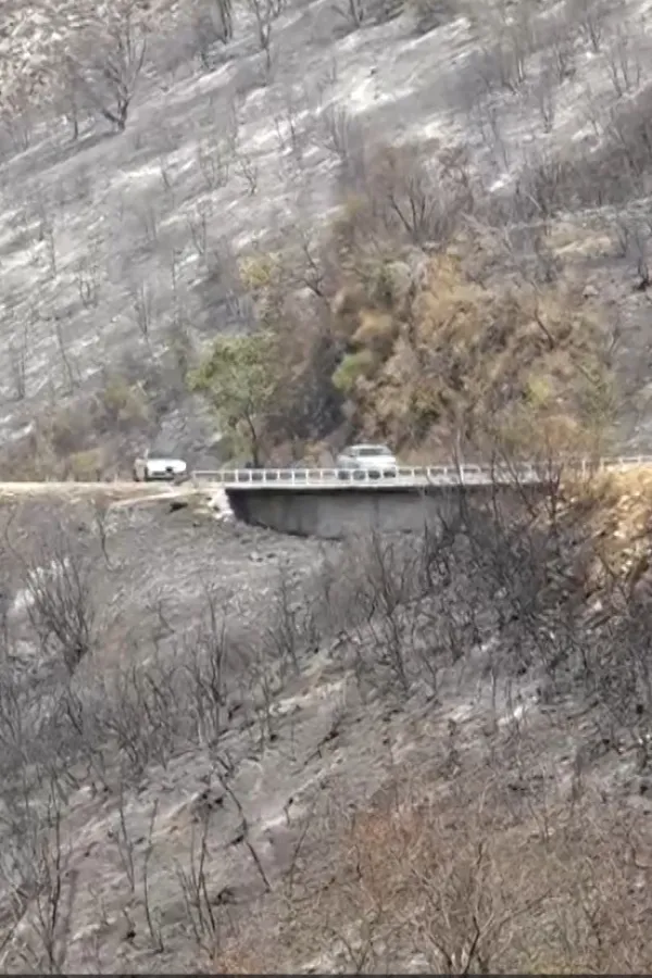 (VIDEO) Pogledajte kako izgledaju Buljarica i Čanj nakon požara