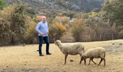 (VIDEO) Joković za "Dan" - Piperima te&scaron;ko može pomoći već sjutra: Imanja u pepelu, komisije u zasijedanju