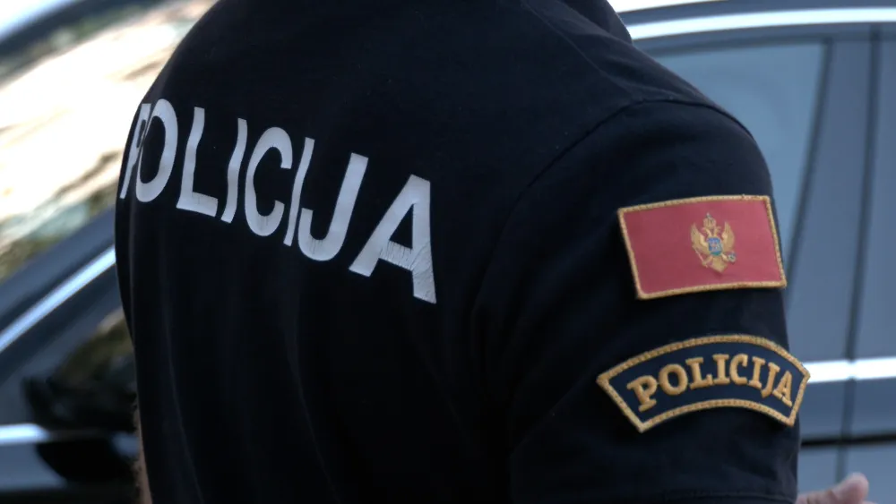Rasvijetljena krađa u &Scaron;avniku: Podnijeta krivična prijava protiv jedne osobe