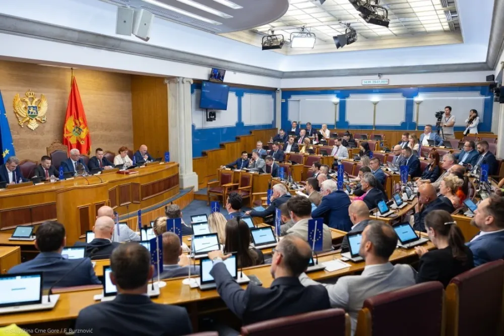 Bez većinske podr&scaron;ke za Vučinić, nije usvojen dnevni red