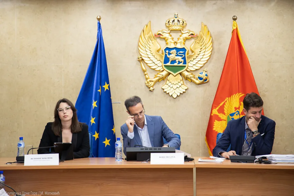 odbor za ekonomiju