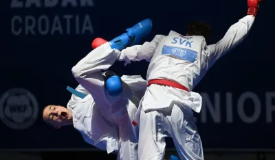 Nikola Malović 