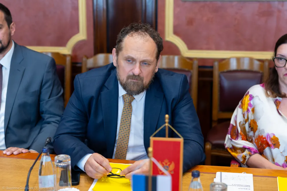 Stojović: DPS se nalazi u fazi političkog i moralnog posrnuća