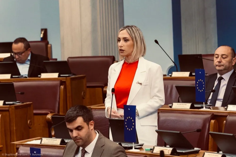 Kaluđerović: DPS nikada nije bio državotvorna, već interesna organizacija