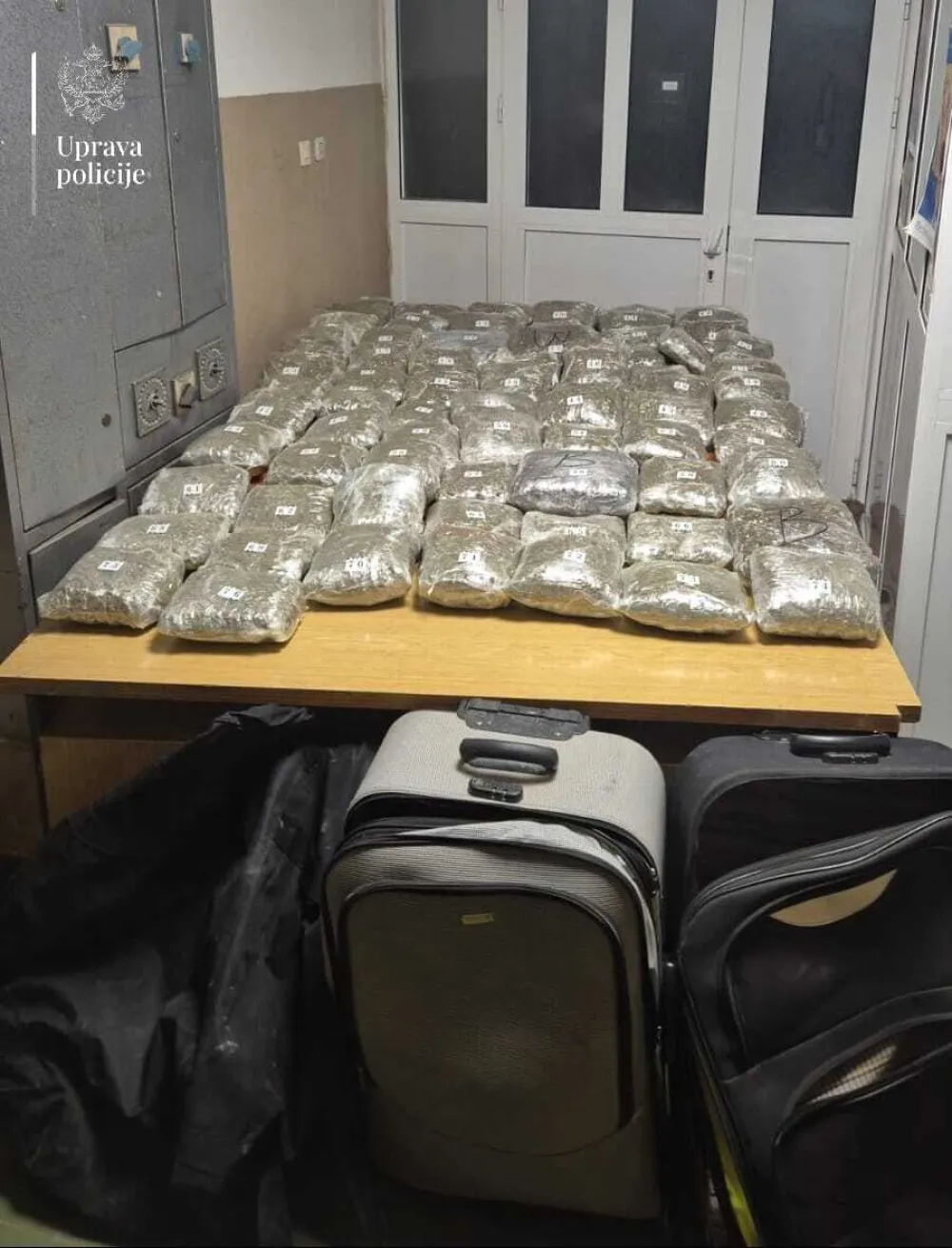 Kod mladića iz Zete nađeno 40 kg marihuane