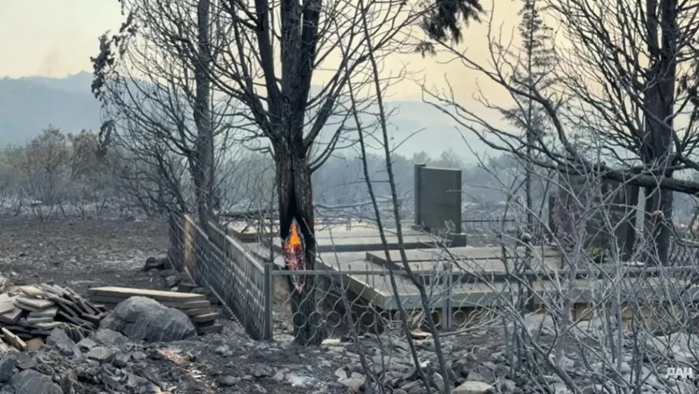 Na 120 imanja u Piperima i Kučima &scaron;teta od požara 570.000 eura&nbsp;