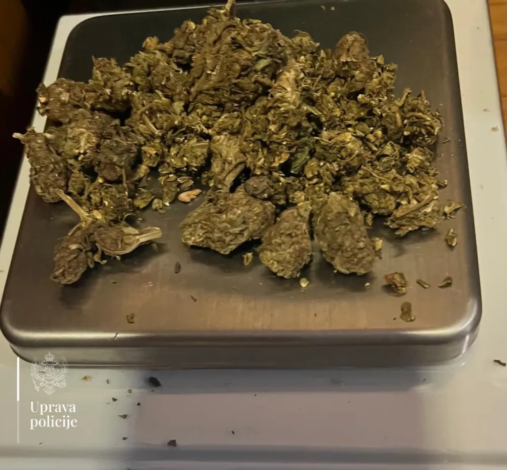Pronađena marihuana