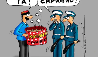 Goran &Scaron;ćekić karikatura Dana