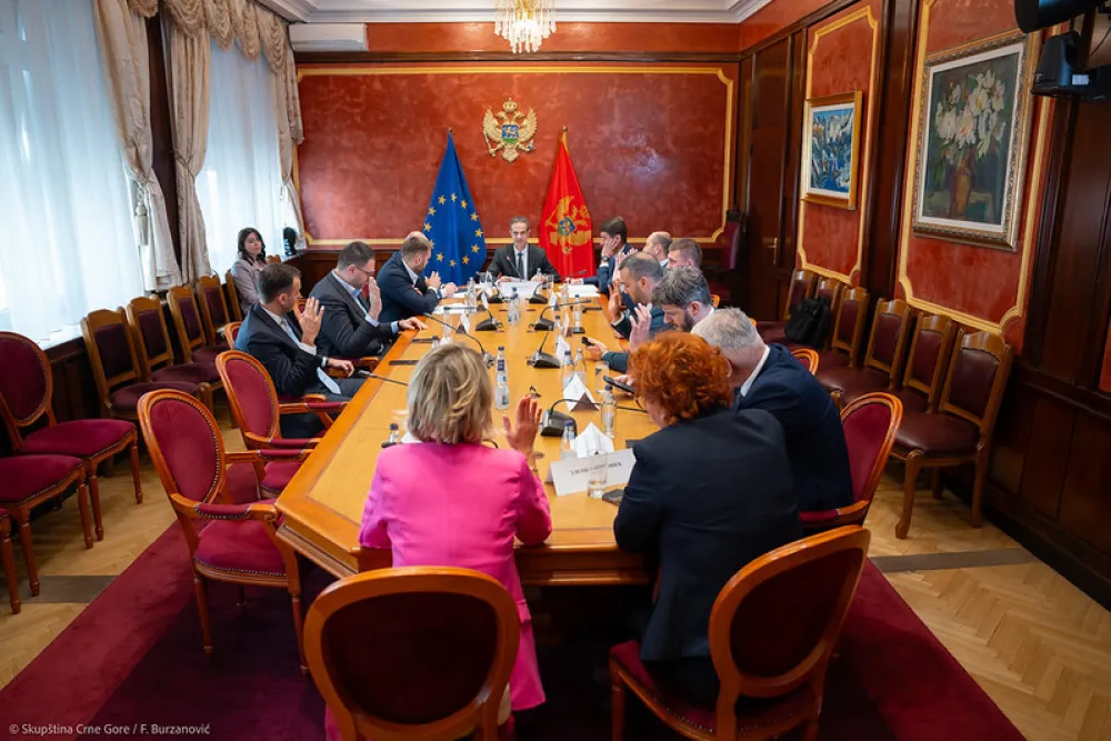 Radunović povukao kandidaturu za člana Senata DRI