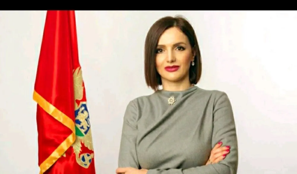Milutinović: Privremeno zatvaranje Poglavlja 6 do kraja godine