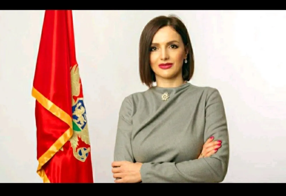 Milutinović: Privremeno zatvaranje Poglavlja 6 do kraja godine
