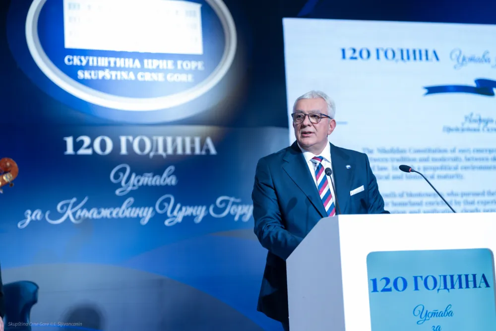 Mandić: Aktuelni Ustav upodobiti sada&scaron;njosti i promijeniti status srpskog jezika