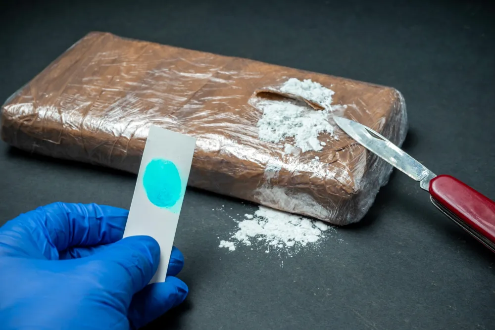 Hrvatska: Zaplijenjeno 13 kilograma kokaina na graničnom prelazu prema Crnoj Gori