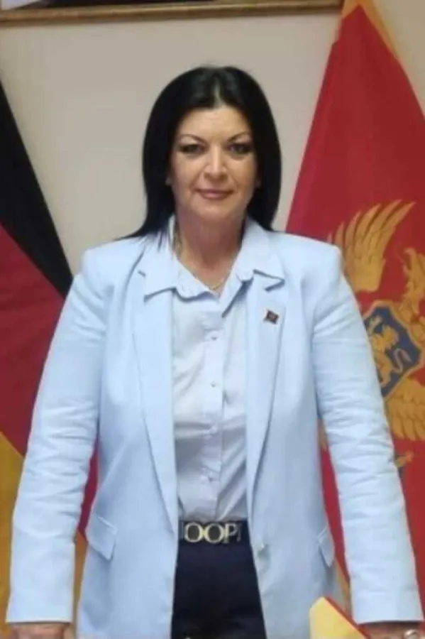 Čolović - Kajević: Vrijeme je da dijaspora preuzme punu političku odgovornost