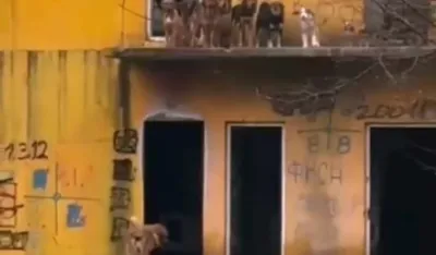 (VIDEO) Akcija za desetku: Djevojke iz Nik&scaron;ića kajakom spasile pse iz poplavljene kuće