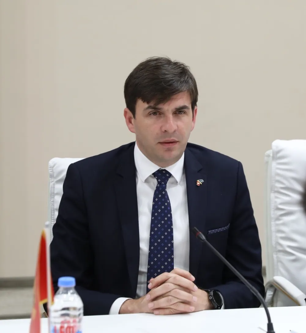 Azemović: Cilj je da se iseljenici motivi&scaron;u za povratak u Crnu Goru