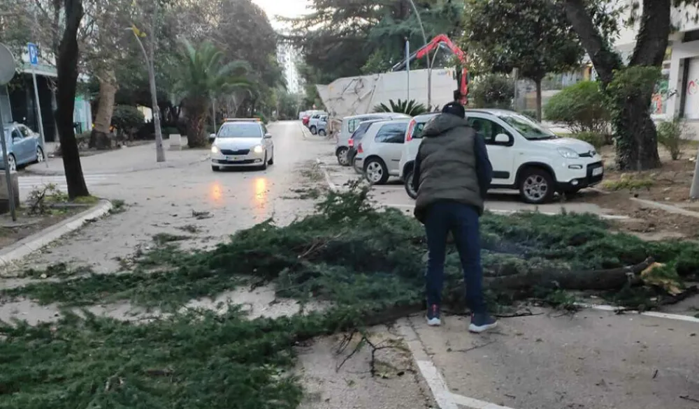 Bar: Udari vjetra dostizali 90 kilometara na sat, jutros uklonjena oborena stabla