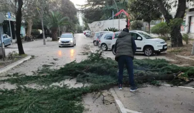 Bar: Udari vjetra dostizali 90 kilometara na sat, jutros uklonjena oborena stabla