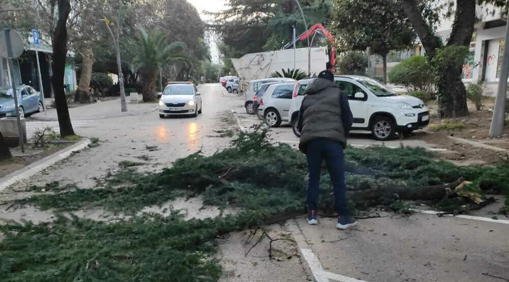 Bar: Udari vjetra dostizali 90 kilometara na sat, jutros uklonjena oborena stabla