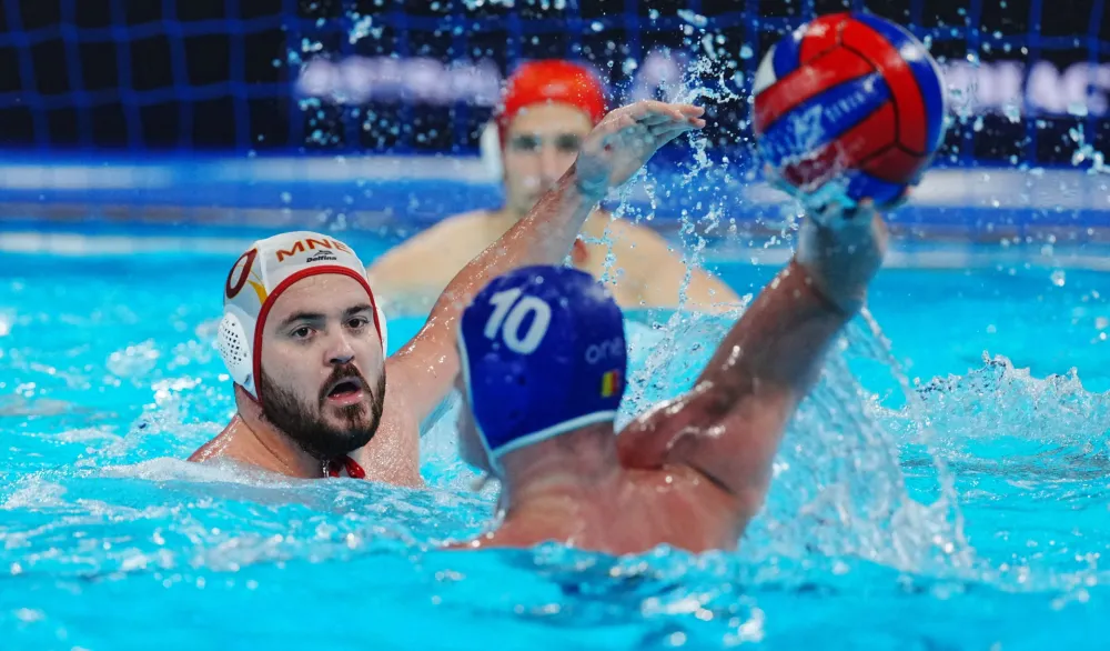 Vladan Spaić