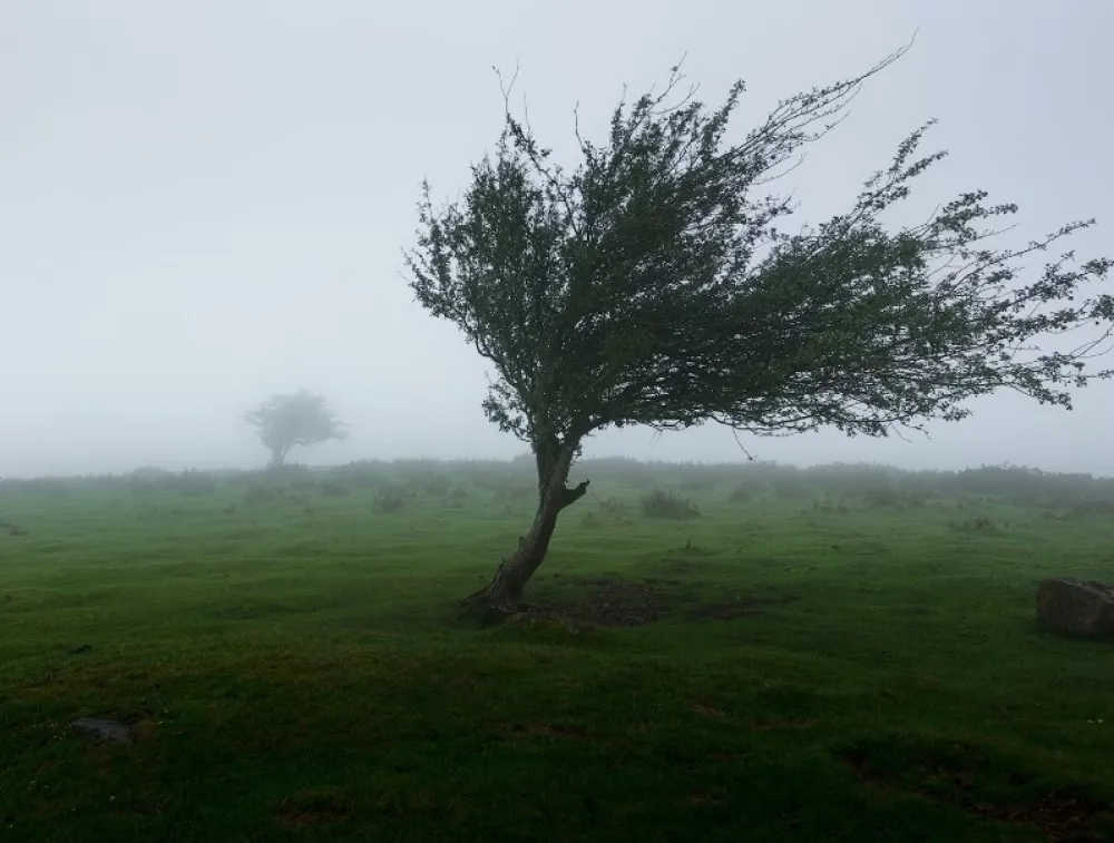 Narandžasti meteoalarm zbog najavljenog olujnog vjetra