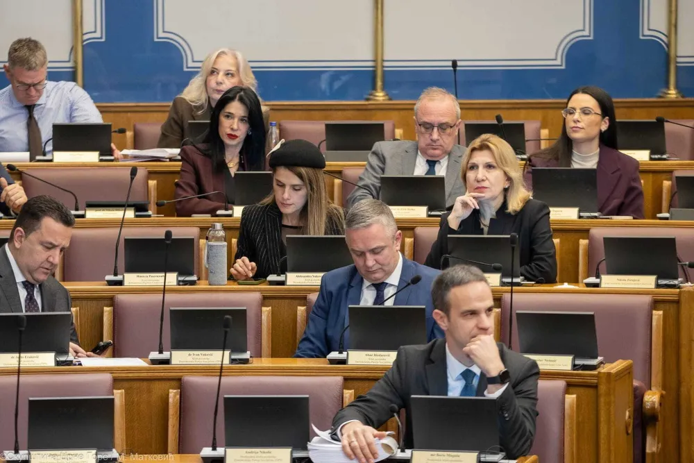 Crnoj Gori nedostaje lider opozicije