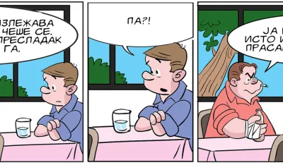 Mirko Zulić strip Dana