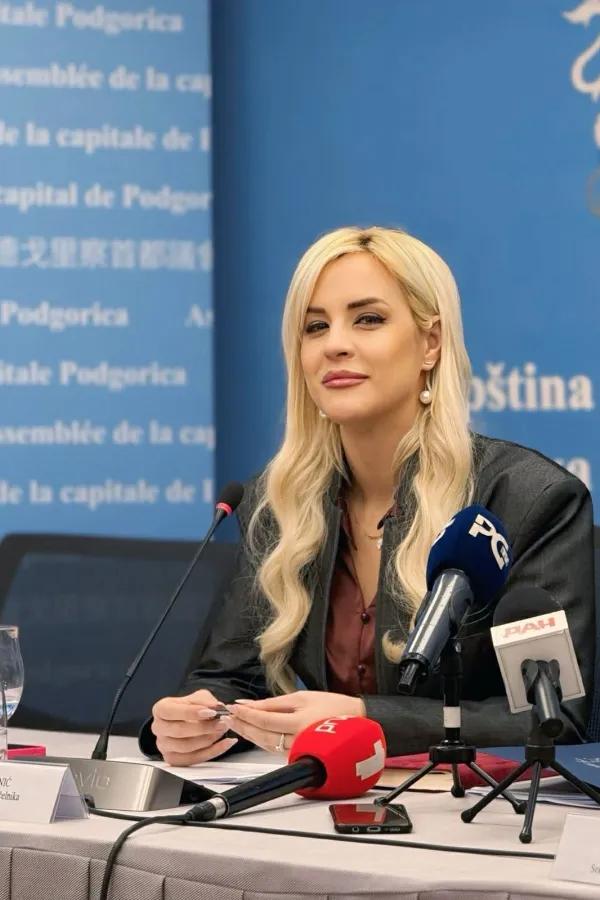 Ljiljanić: Vlast u Podgorici mora pokazati odgovornost, koalicija na testu