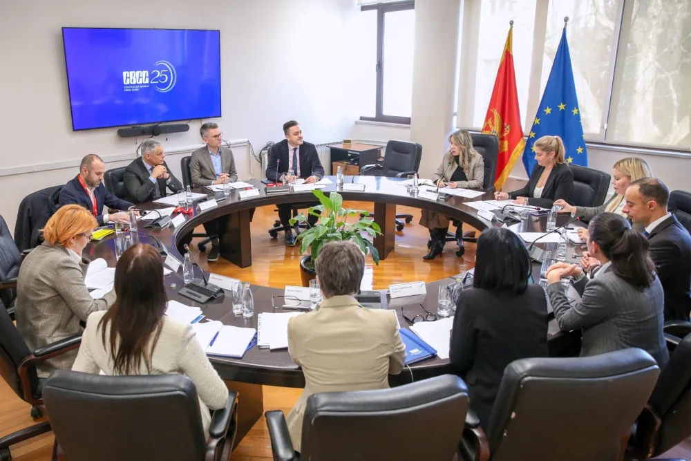 Savjet za finansijsku stabilnost: Ostvaren početni napredak u razvoju održivih finansija u Crnoj Gori