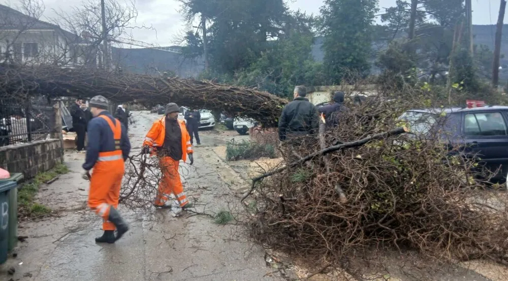 Tivat: Jak južni vjetar napravio &scaron;tetu u Mrčevcu, obarao stabla i o&scaron;tetio krovove