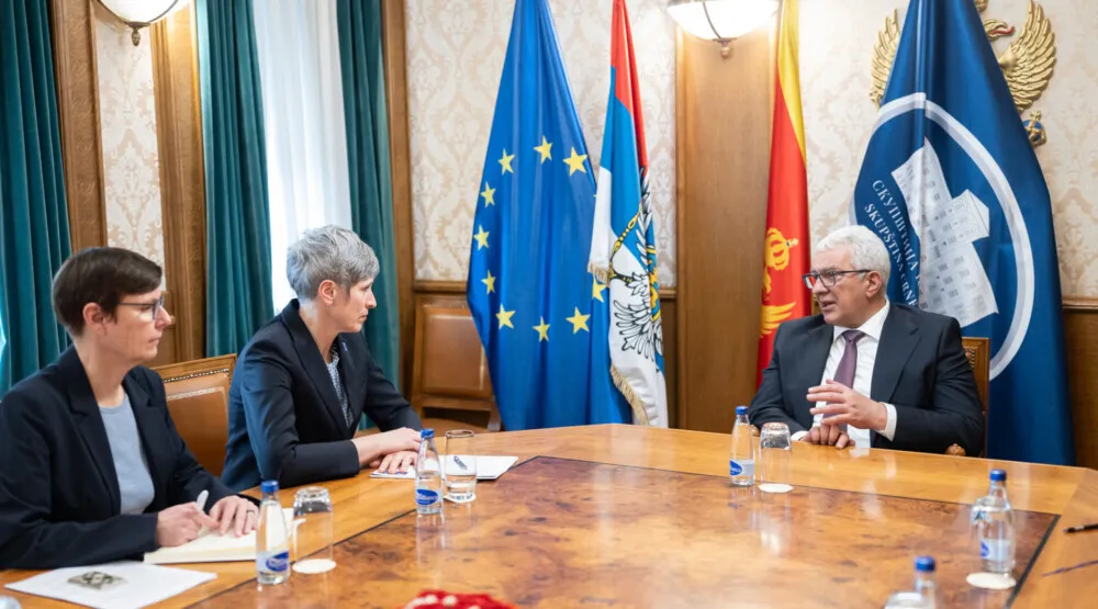 Mandić-Paniklova: Skup&scaron;tina ključna za reforme, evropske integracije i zelenu tranziciju