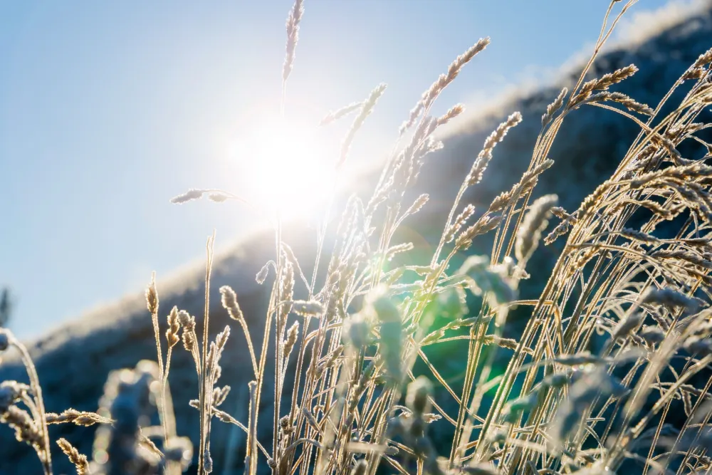 (VIDEO) Danas pretežno sunčano
