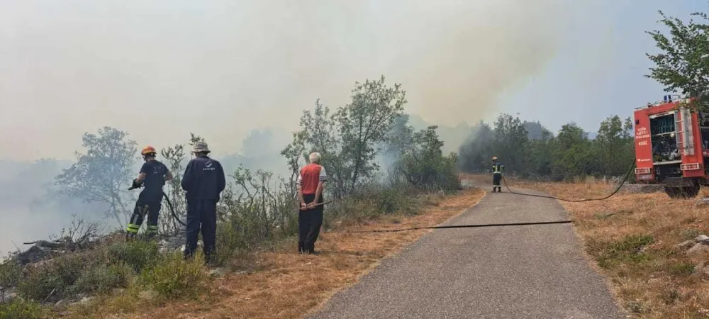 Požar za devet godina progutao preko 140.000 hektara &scaron;uma