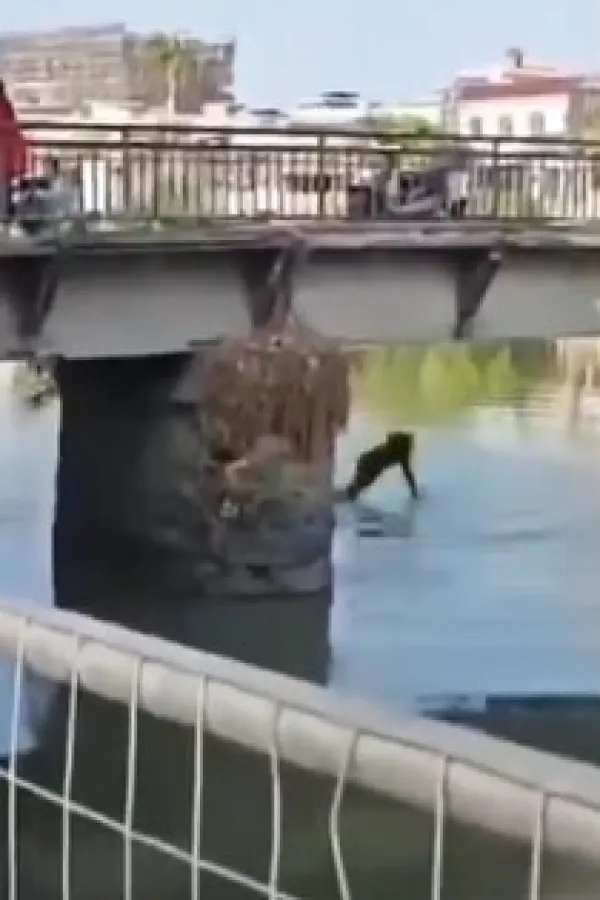(VIDEO) Mu&scaron;karac se posvađao sa suprugom pa bacio dijete s mosta