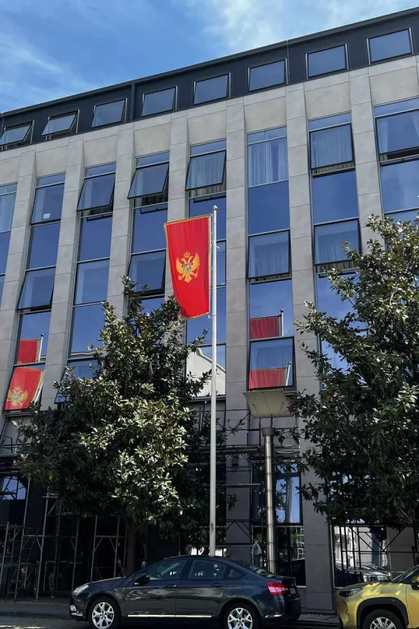 Žižić: Čađenović nije tražio da se neko izostavi, prioritet je bilo da se procesuira Roganović