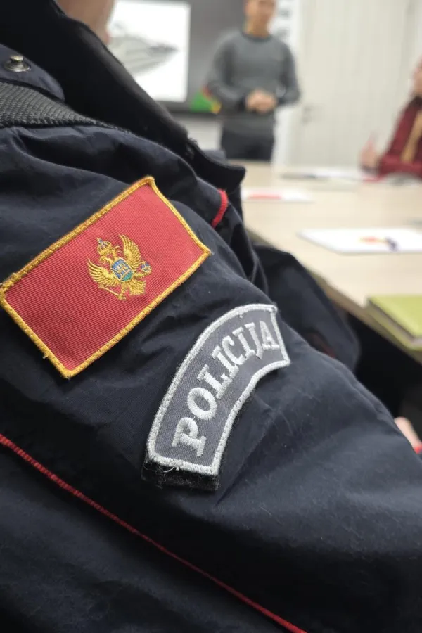 U Pljevljima uhap&scaron;ena operativno interesantna osoba, pronađena municija